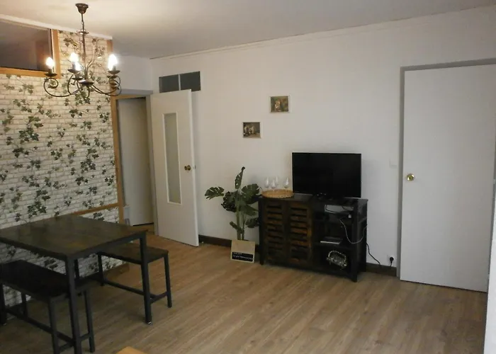 Le Petit Marmandais Apartment *